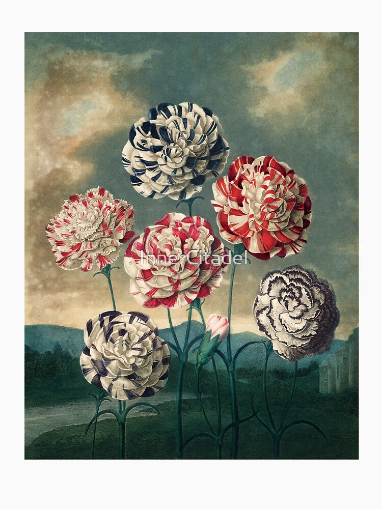 Vintage Botanical Painting A Group of Carnations by Robert John Thornton by InnerCitadel T-Shirts, Hoodie,... (Image 3)