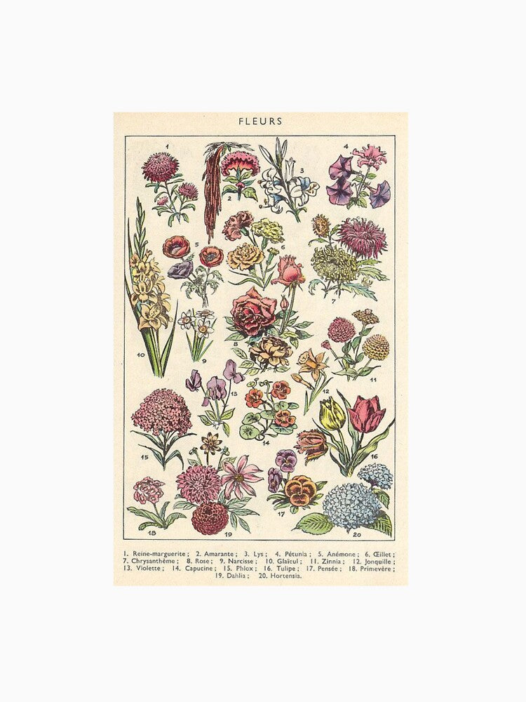 Aesthetic flower poster cottagecore by PeachyDrawingss T-Shirts, Hoodie, Sweatshirt | BlankRebels.com (Image 3)