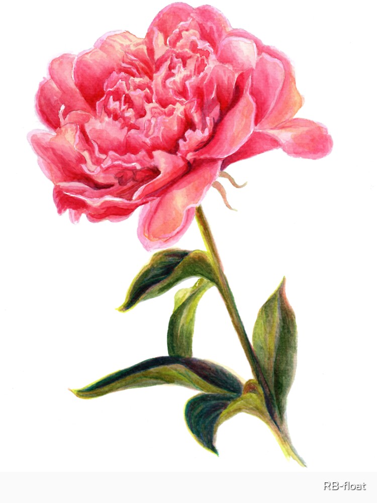 Watercolor Peony Botanical Art by RB-float T-Shirts, Hoodie, Sweatshirt | BlankRebels.com (Image 2)