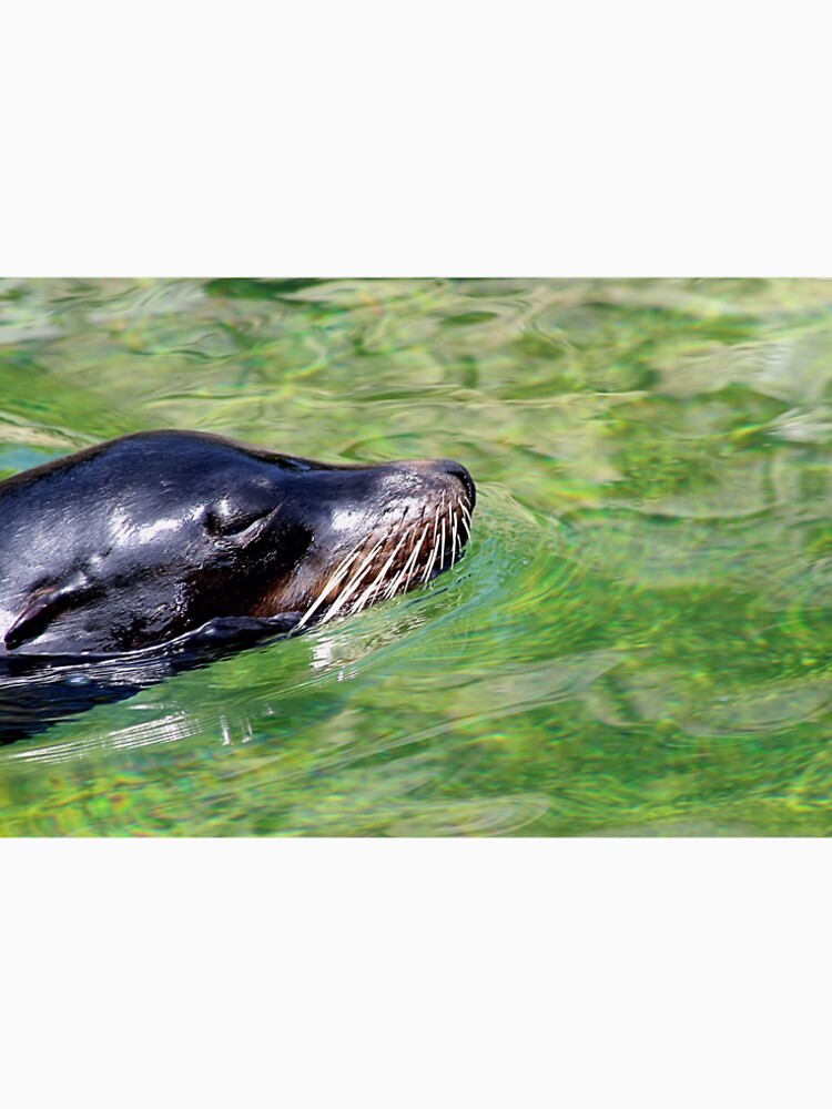 SEALION by BOLLA67 T-Shirts, Hoodie, Sweatshirt | BlankRebels.com (Image 2)