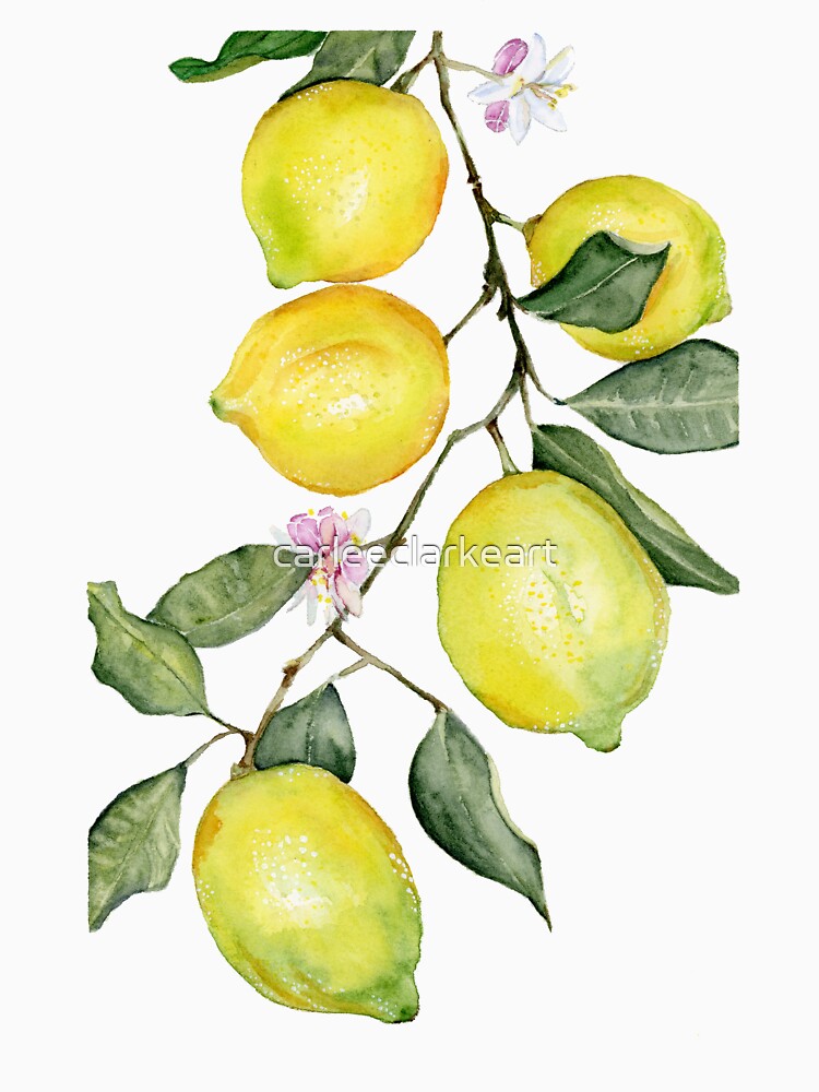 Lemons and Blossoms Watercolor by carleeclarkeart T-Shirts, Hoodie, Sweatshirt | BlankRebels.com (Image 3)