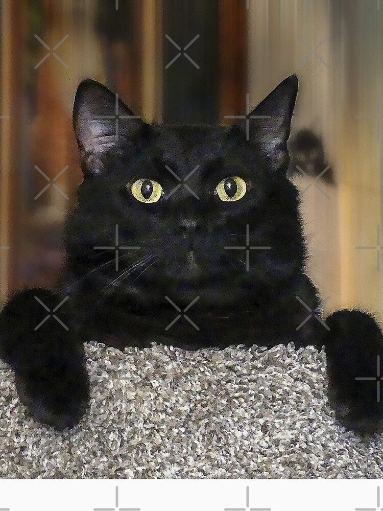 Black Cat by Frankie Cat Photography T-Shirts, Hoodie, Sweatshirt | BlankRebels.com (Image 3)