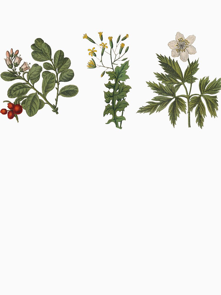 Botanical flower chart by bohoDecor T-Shirts, Hoodie, Sweatshirt | BlankRebels.com (Image 3)