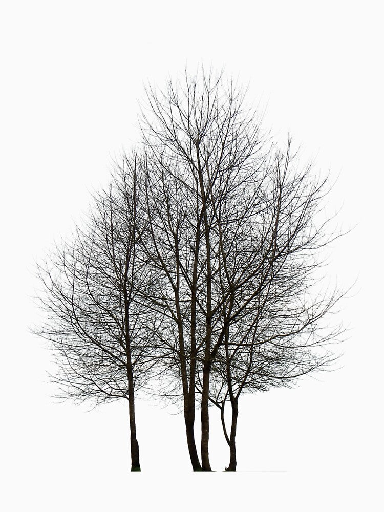Abstract Fall Wild Tree, Minimalist Design by Crafty-Deeja T-Shirts, Hoodie, Sweatshirt | BlankRebels.com (Image 3)
