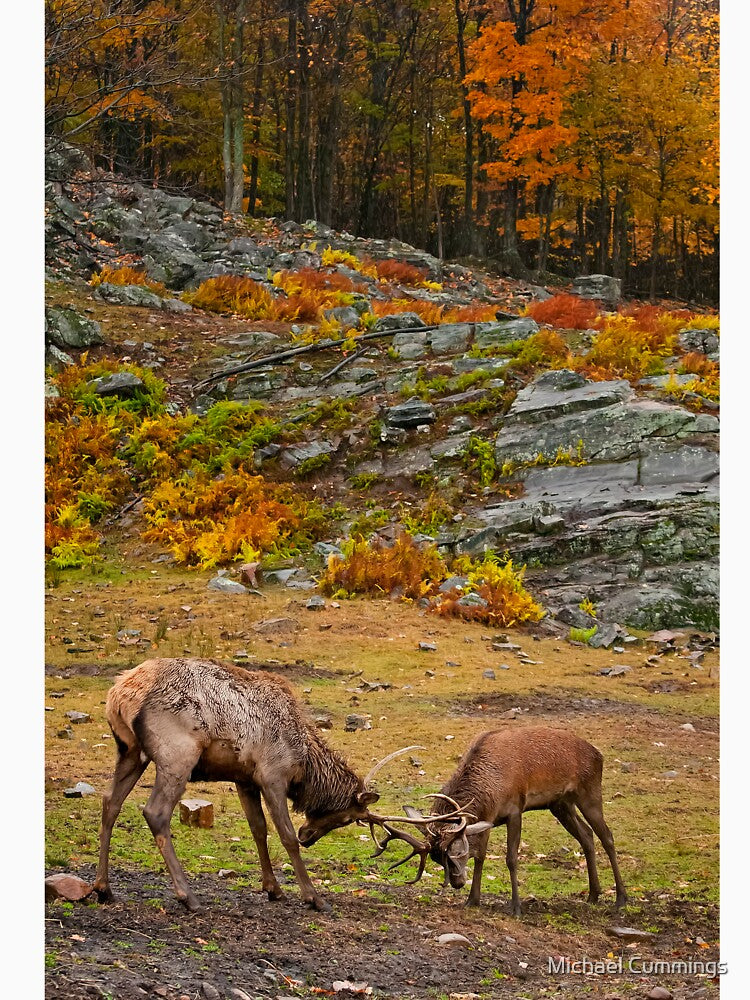 Elks by Michael Cummings T-Shirts, Hoodie, Sweatshirt | BlankRebels.com (Image 3)