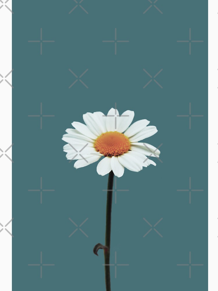 Daisy little flower portrait on grey blue by by-jwp T-Shirts, Hoodie, Sweatshirt | BlankRebels.com (Image 3)