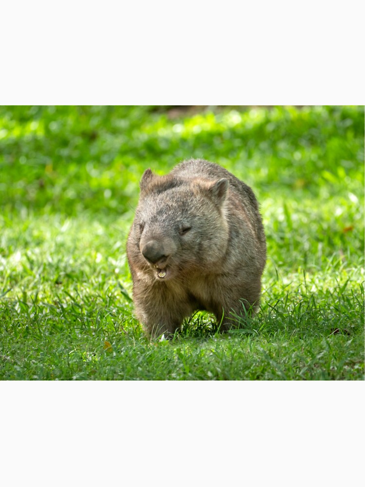 A Very Happy Wombat by Andrew Goodall T-Shirts, Hoodie, Sweatshirt | BlankRebels.com (Image 2)