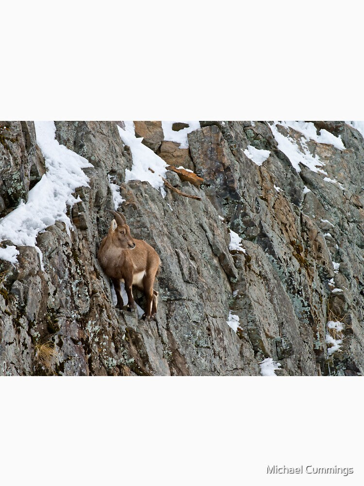 Ibex On Cliff by Michael Cummings T-Shirts, Hoodie, Sweatshirt | BlankRebels.com (Image 3)
