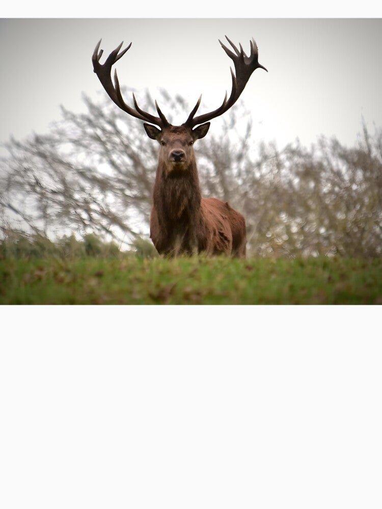 Stunning great stag by Wildlifespotter T-Shirts, Hoodie, Sweatshirt | BlankRebels.com (Image 2)