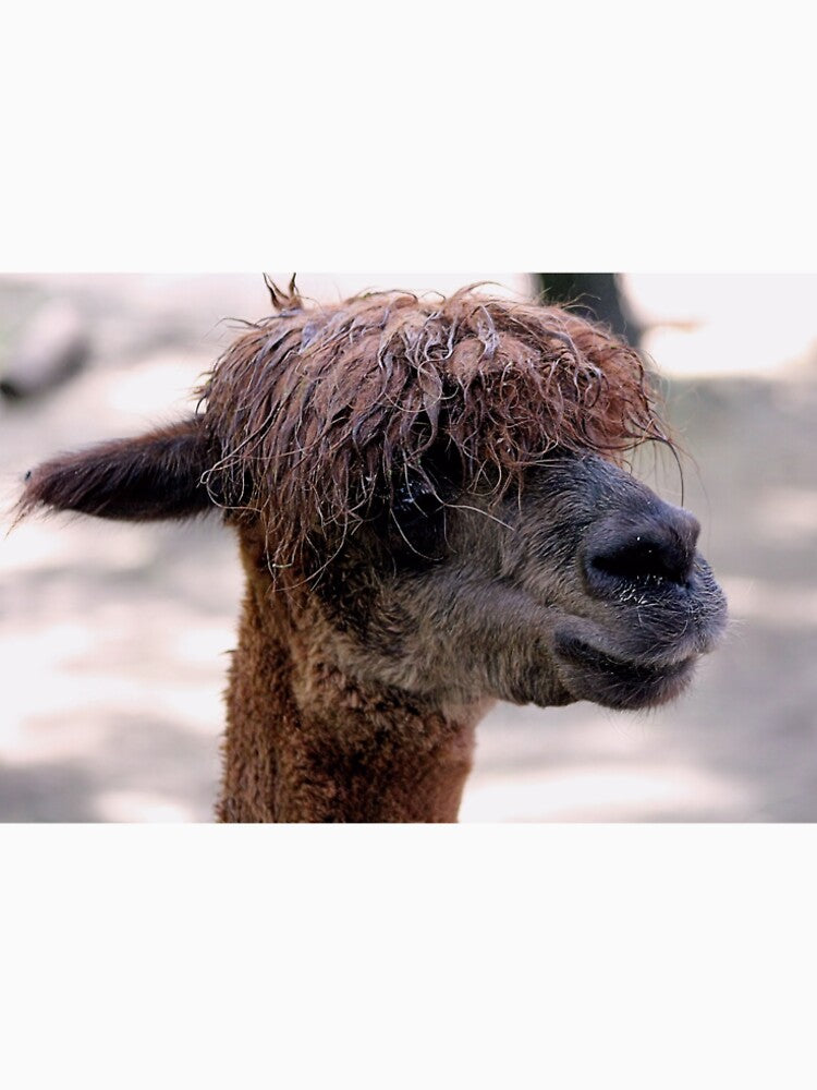 REAL BAD HAIR DAY by BOLLA67 T-Shirts, Hoodie, Sweatshirt | BlankRebels.com (Image 2)