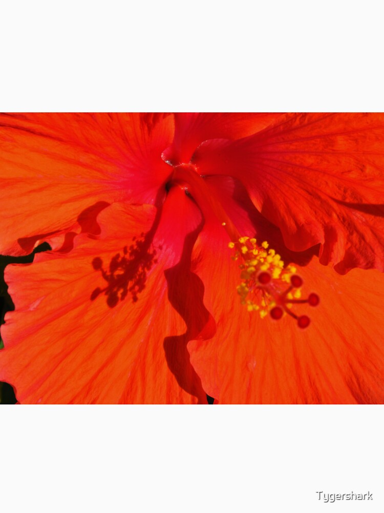 Red Flower Shadow by Tygershark T-Shirts, Hoodie, Sweatshirt | BlankRebels.com (Image 3)