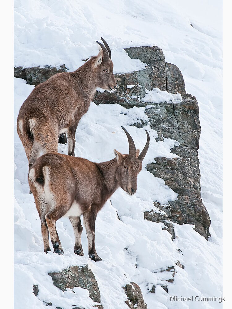 Ibex On Snow Covered Hill by Michael Cummings T-Shirts, Hoodie, Sweatshirt | BlankRebels.com (Image 3)