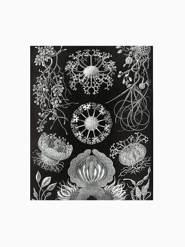 Aesthetic Botanical Art Print by Eva Vincent T-Shirts, Hoodie, Sweatshirt | BlankRebels.com (Image 3)