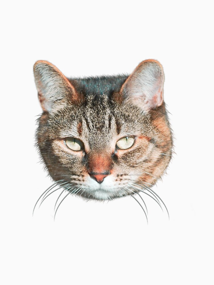 Cat Face Design by FrancoisFourmy