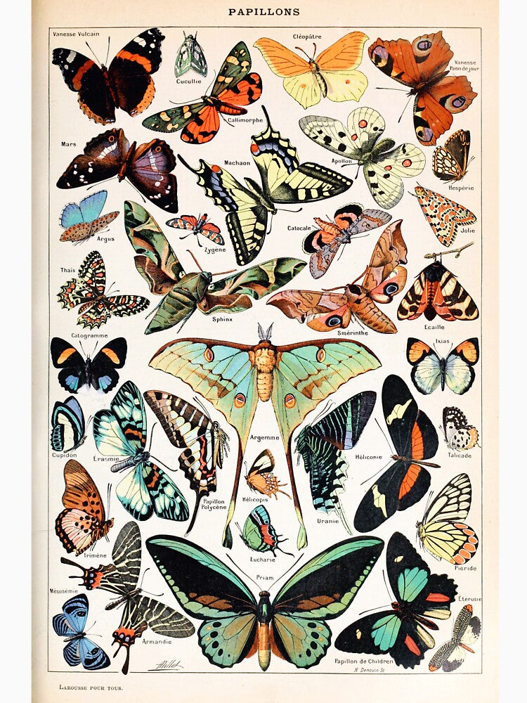 Adolphe Millot - Papillons pour tous - French vintage poster by DejaVuStudio