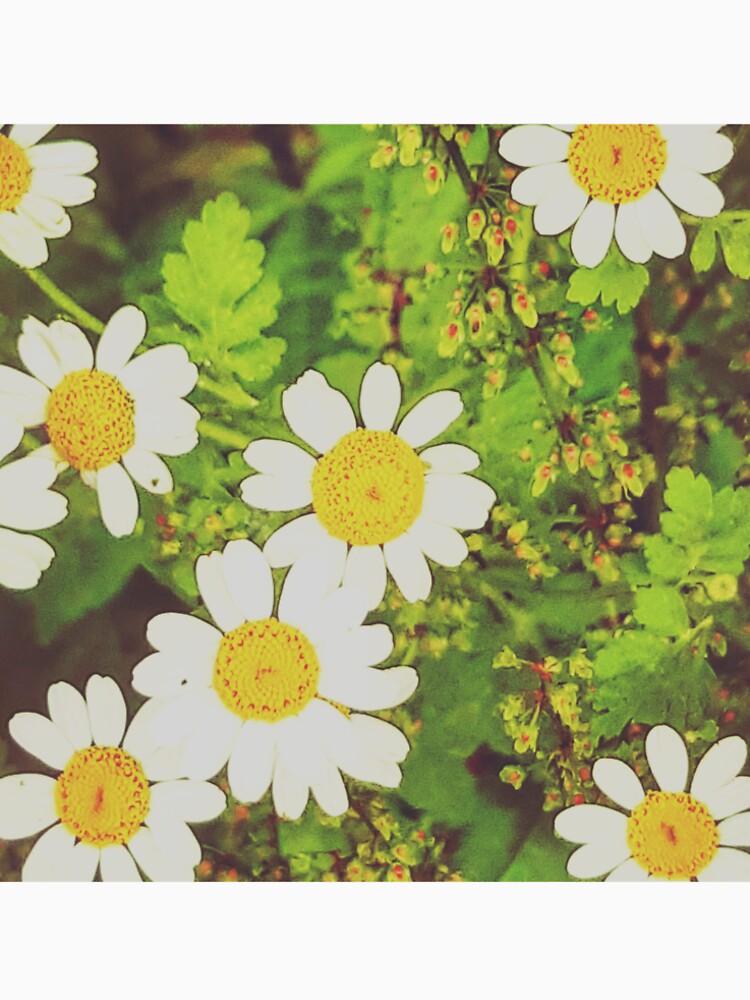 Aesthetic daisy print simple by Somelilchicken T-Shirts, Hoodie, Sweatshirt | BlankRebels.com (Image 2)
