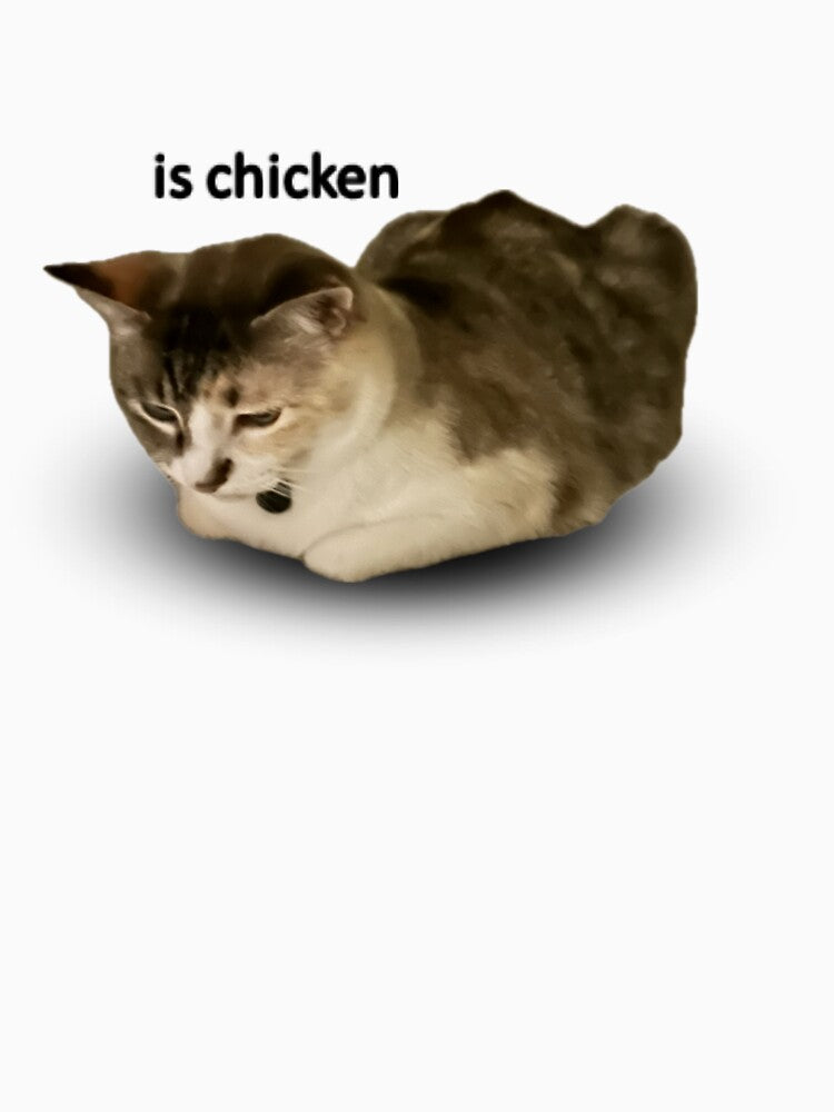Kiki is chicken by Kikis Emporium T-Shirts, Hoodie, Sweatshirt | BlankRebels.com (Image 3)