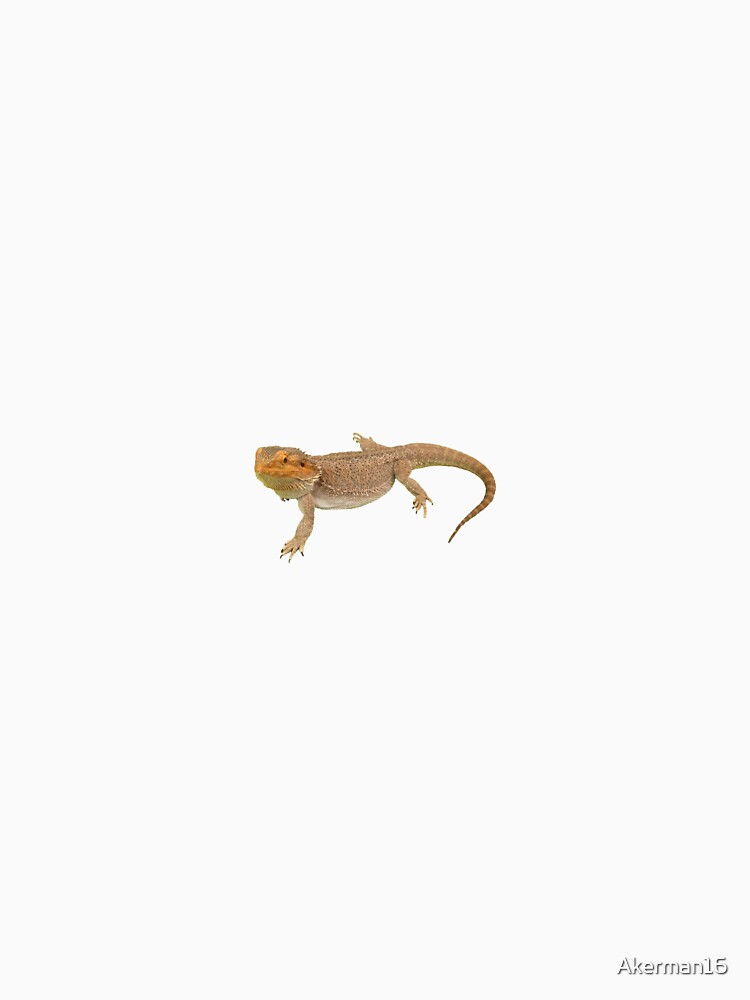 BEARDIE by Akerman16 T-Shirts, Hoodie, Sweatshirt | BlankRebels.com (Image 3)