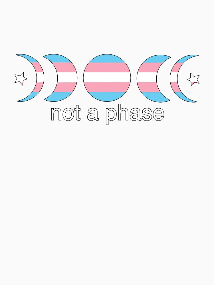 Not a phase (trans) by Doodlesbykat T-Shirts, Hoodie, Sweatshirt | BlankRebels.com (Image 3)