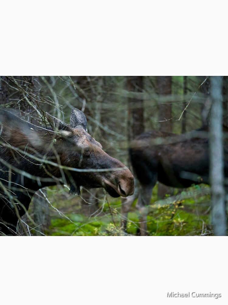 Moose In Woods by Michael Cummings T-Shirts, Hoodie, Sweatshirt | BlankRebels.com (Image 3)
