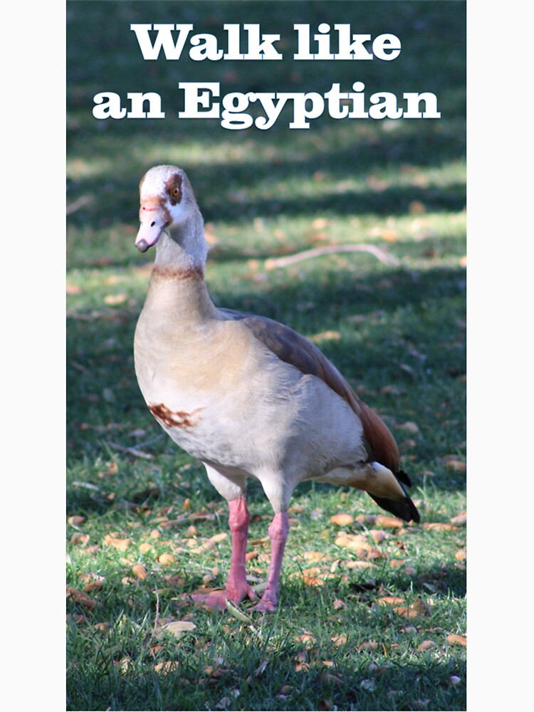 Walk like an Egyptian Goose by BattlefoxxEarth T-Shirts, Hoodie, Sweatshirt | BlankRebels.com (Image 3)