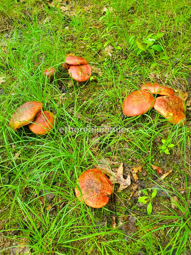 Fairy Circle by etherealwonders T-Shirts, Hoodie, Sweatshirt | BlankRebels.com (Image 2)