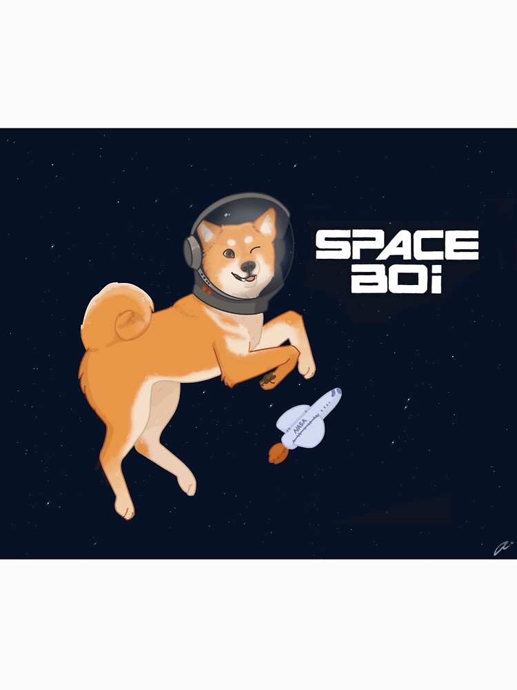SPACE BOI!!! by RivendellsArt T-Shirts, Hoodie, Sweatshirt | BlankRebels.com (Image 3)
