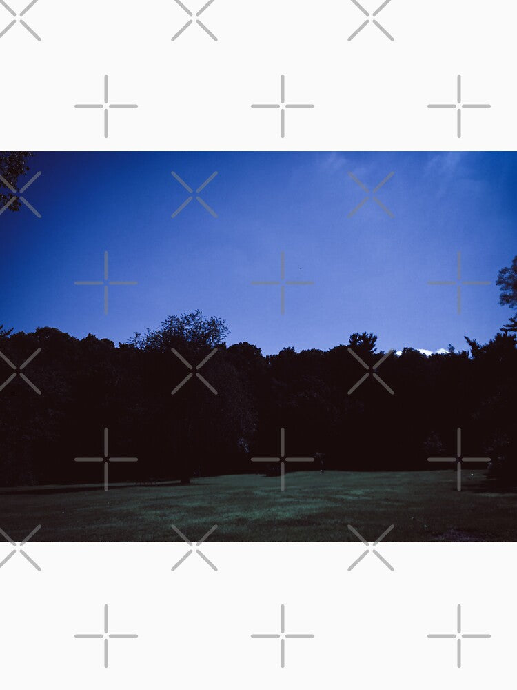 dazecore aesthetic trail landscape photography grunge vintage blue bunch of trees beautiful sky 2 by sielexis
