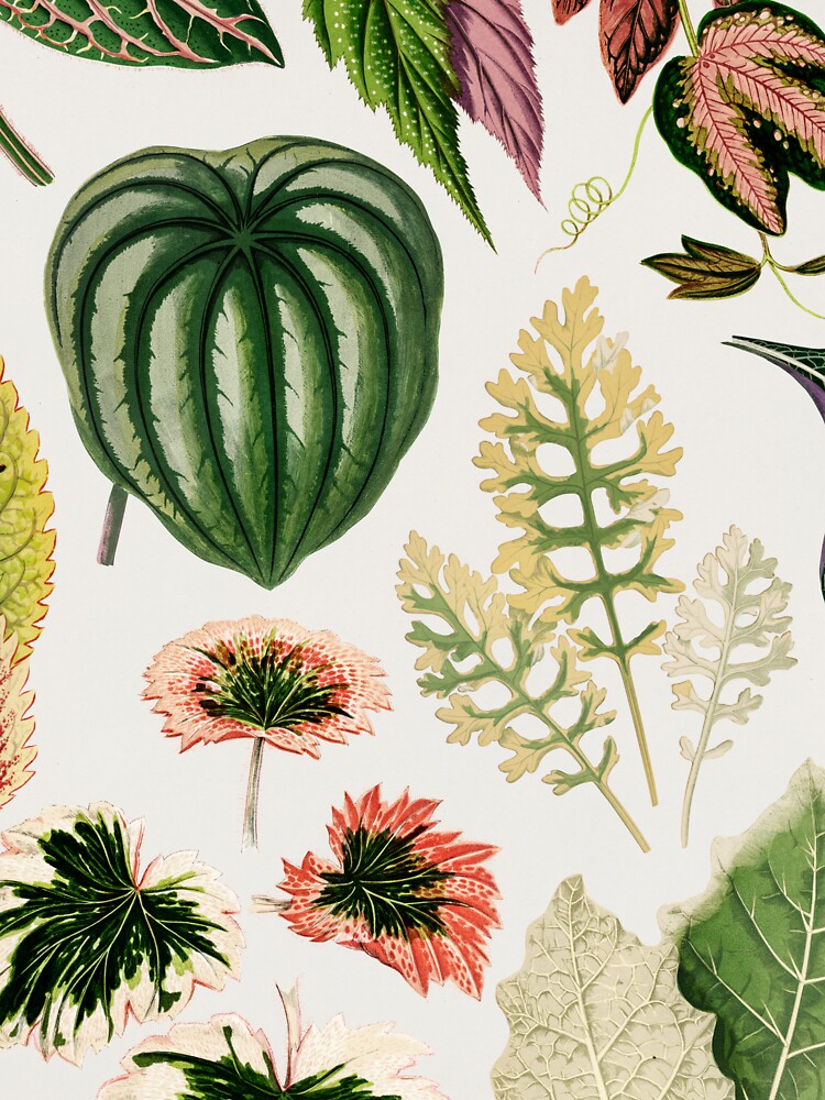 Green Botanical Leaf Print Pattern by newburyboutique T-Shirts, Hoodie, Sweatshirt | BlankRebels.com (Image 3)