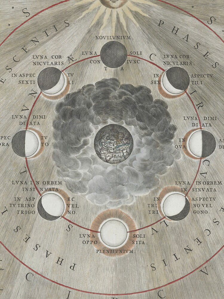 Moon Phase Map by BlueSpecsStudio T-Shirts, Hoodie, Sweatshirt | BlankRebels.com (Image 3)