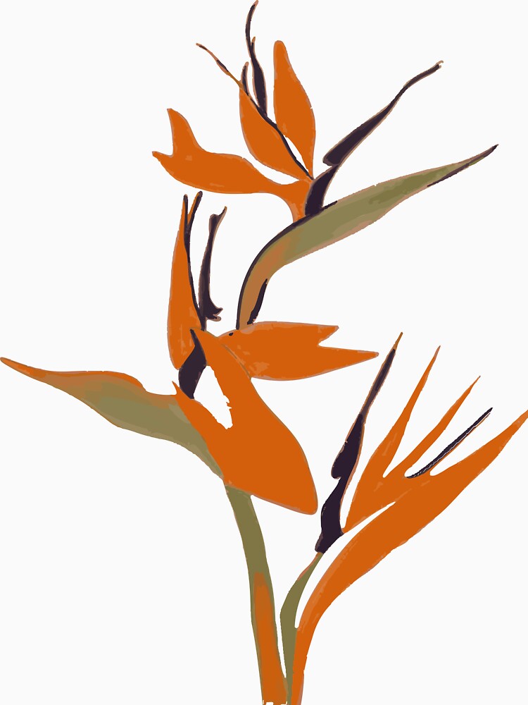 Botanical illustration. Pencil style in digital  png format. by TaniaArtDesign T-Shirts, Hoodie, Sweatshirt (Image 3)