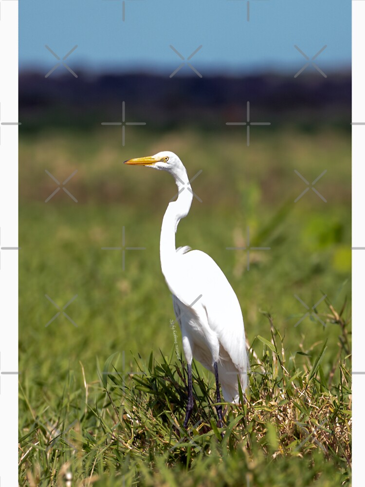 Egret Standing in Field by Artistic Imagery by TC T-Shirts, Hoodie, Sweatshirt | BlankRebels.com (Image 2)