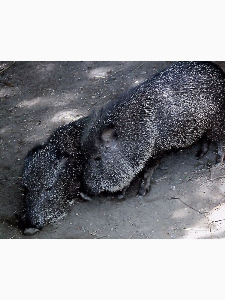PECCARY by BOLLA67 T-Shirts, Hoodie, Sweatshirt | BlankRebels.com (Image 3)