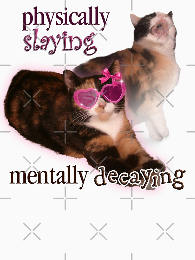 Physically Slaying Mentally Decaying Cat Word Art T-Shirts, Hoodie, Sweatshirt