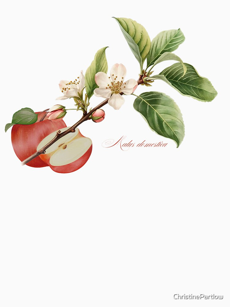 Malus domestica | Flowering Branch and Fruit Botanical Illustration by ChristinePartlow T-Shirts, Hoodie,... (Image 3)