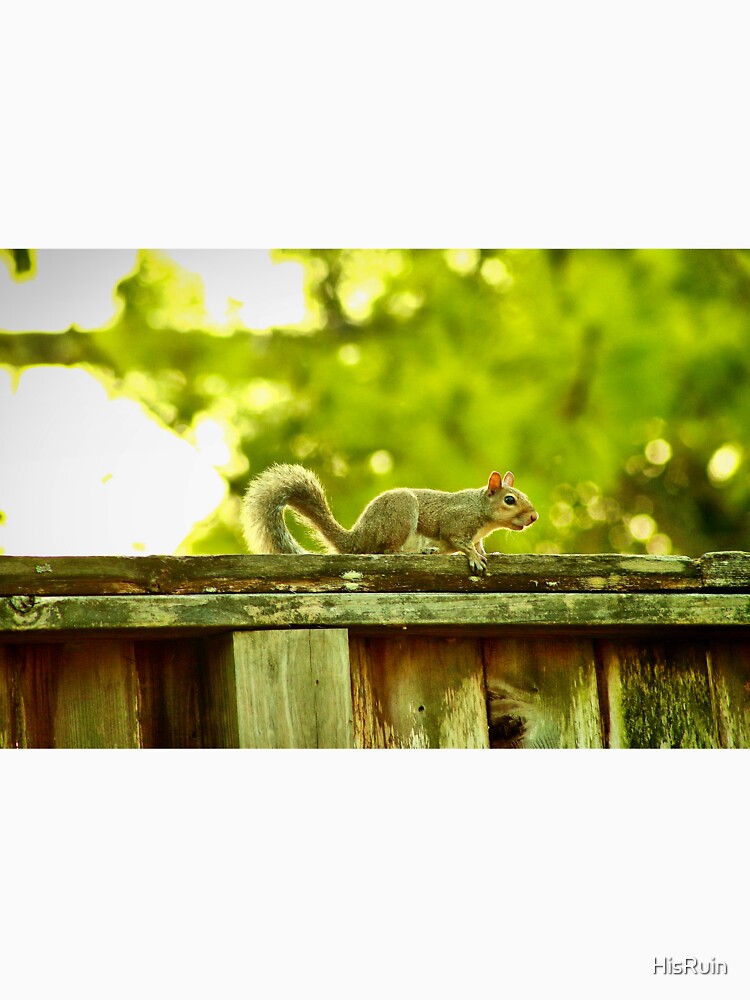Squirrel by HisRuin T-Shirts, Hoodie, Sweatshirt | BlankRebels.com (Image 3)