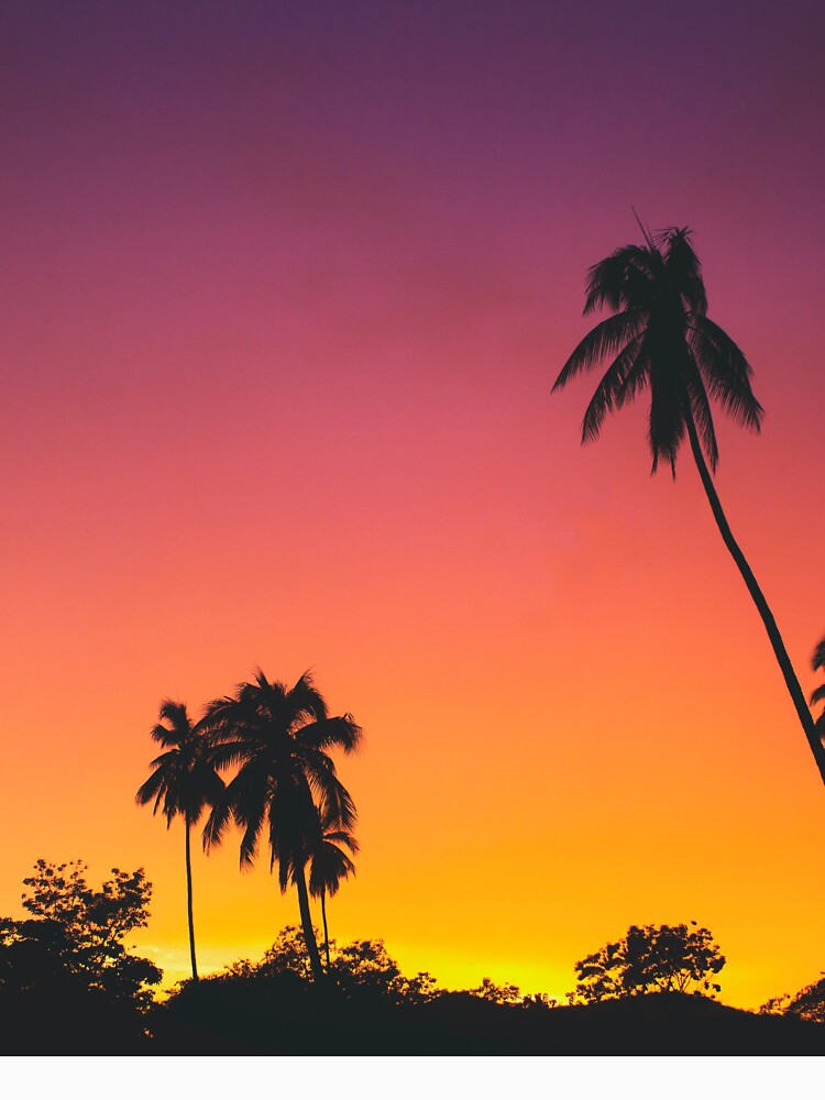 Palm Tree Sunset by newburyboutique T-Shirts, Hoodie, Sweatshirt | BlankRebels.com (Image 3)