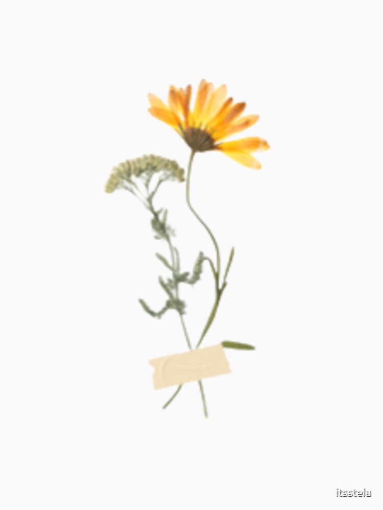 Aesthetic flowers by itsstela