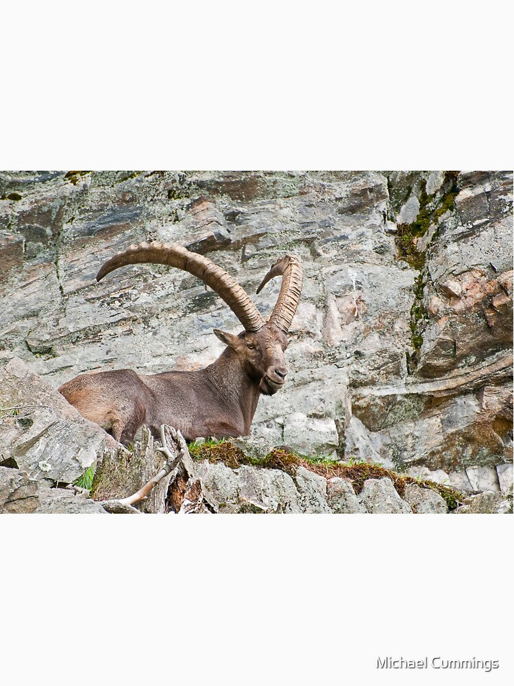 Large Male Ibex by Michael Cummings T-Shirts, Hoodie, Sweatshirt | BlankRebels.com (Image 3)