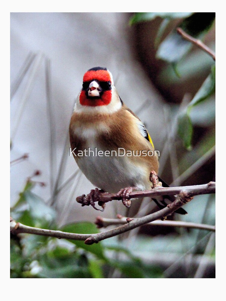 goldfinch by KathleenDawson T-Shirts, Hoodie, Sweatshirt | BlankRebels.com (Image 3)