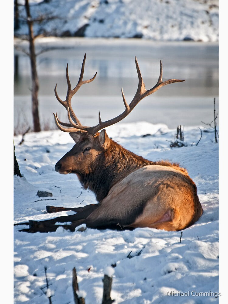 Elk In Snow by Michael Cummings T-Shirts, Hoodie, Sweatshirt | BlankRebels.com (Image 3)