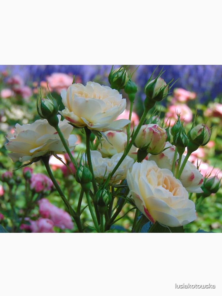 Blooming, beautiful roses by lusiakotowska T-Shirts, Hoodie, Sweatshirt | BlankRebels.com (Image 3)