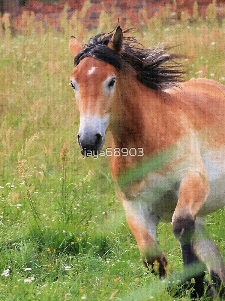 Horses Running by jaya68903 T-Shirts, Hoodie, Sweatshirt | BlankRebels.com (Image 3)