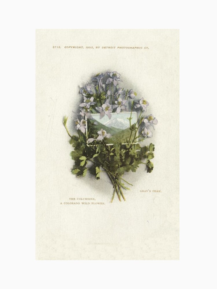 Lavender flower design wildflower aesthetic by joroooart T-Shirts, Hoodie, Sweatshirt | BlankRebels.com (Image 3)