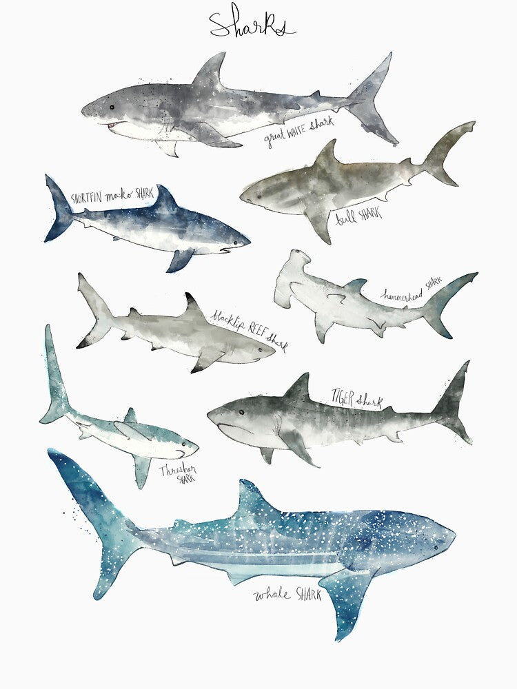 Sharks by Amy Hamilton T-Shirts, Hoodie, Sweatshirt | BlankRebels.com (Image 3)