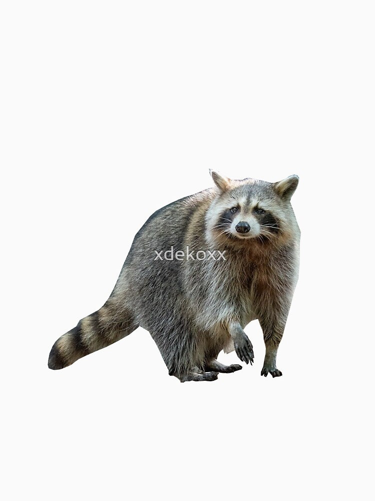 raccoon by xdekoxx T-Shirts, Hoodie, Sweatshirt | BlankRebels.com (Image 3)