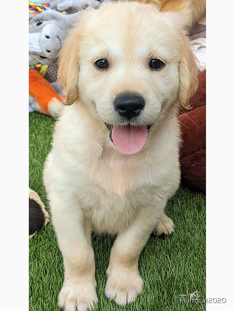 Golden retriever puppy smile by Fluffycat2020 T-Shirts, Hoodie, Sweatshirt | BlankRebels.com (Image 3)