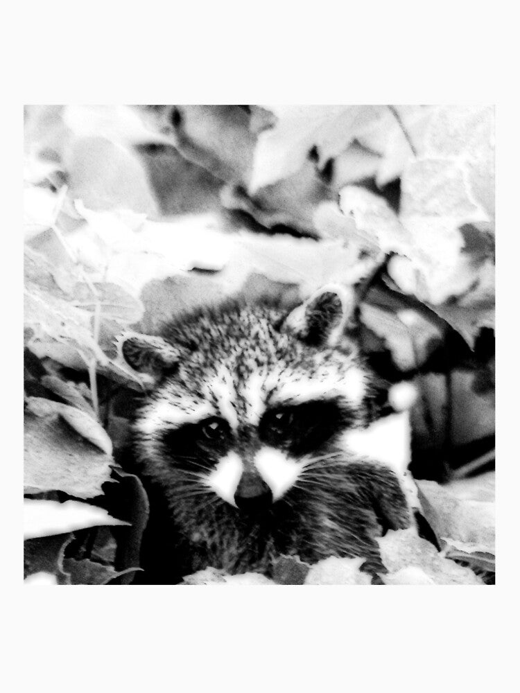 BLACK & WHITE COON by BOLLA67 T-Shirts, Hoodie, Sweatshirt | BlankRebels.com (Image 2)