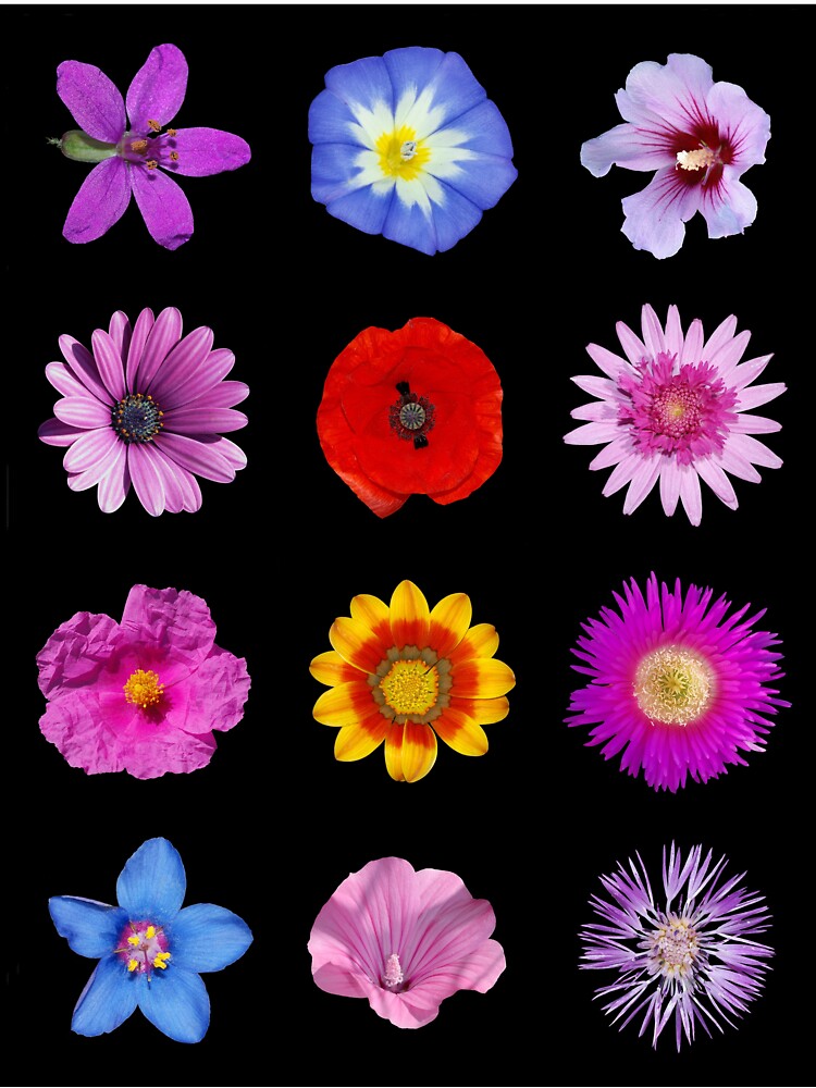 Flower Power Merchandise by cindyfordyce T-Shirts, Hoodie, Sweatshirt | BlankRebels.com (Image 3)