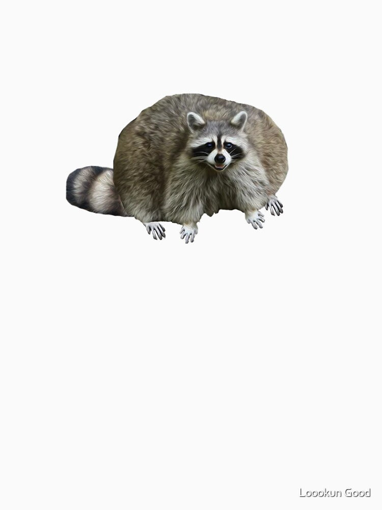 Trash Panda by Loookun Good T-Shirts, Hoodie, Sweatshirt | BlankRebels.com (Image 3)